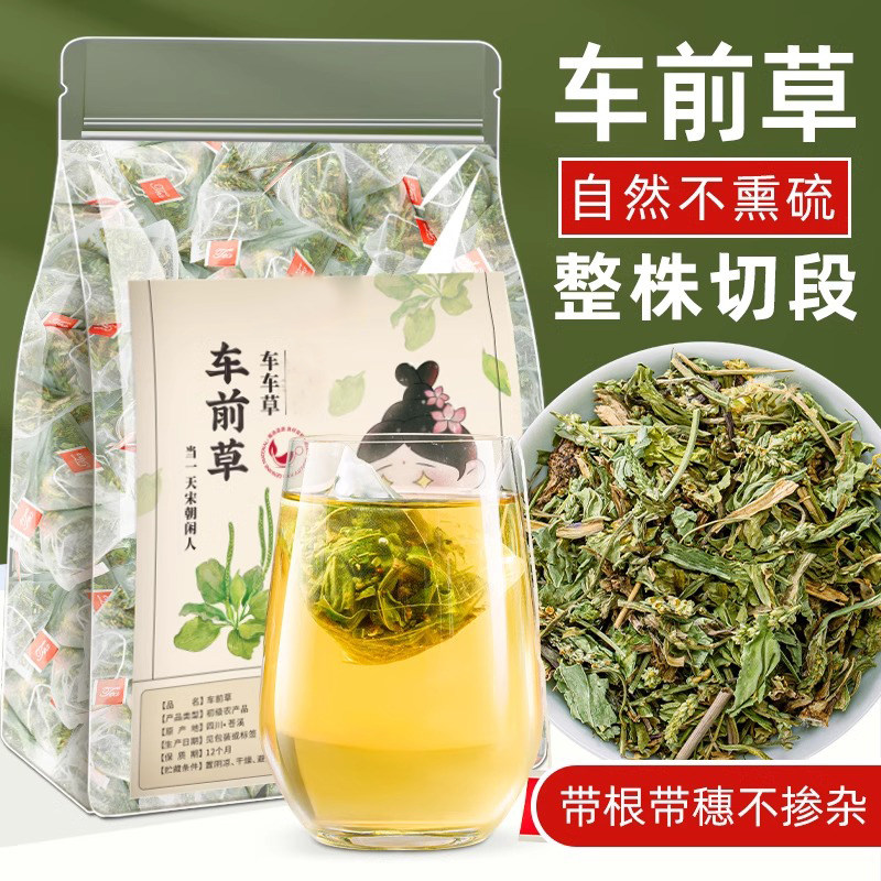 车前草袋泡茶新鲜野生整株切断