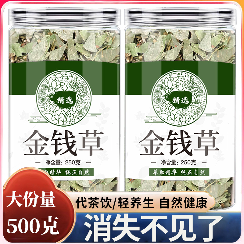 金钱草泡水喝中草药茶消失不见了