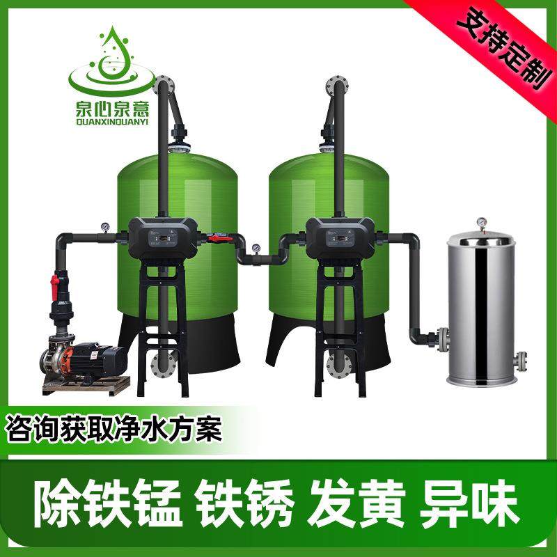 1-50吨除铁锰砂过滤器去铁锈发黄异味软化水去离子地下水处理设备