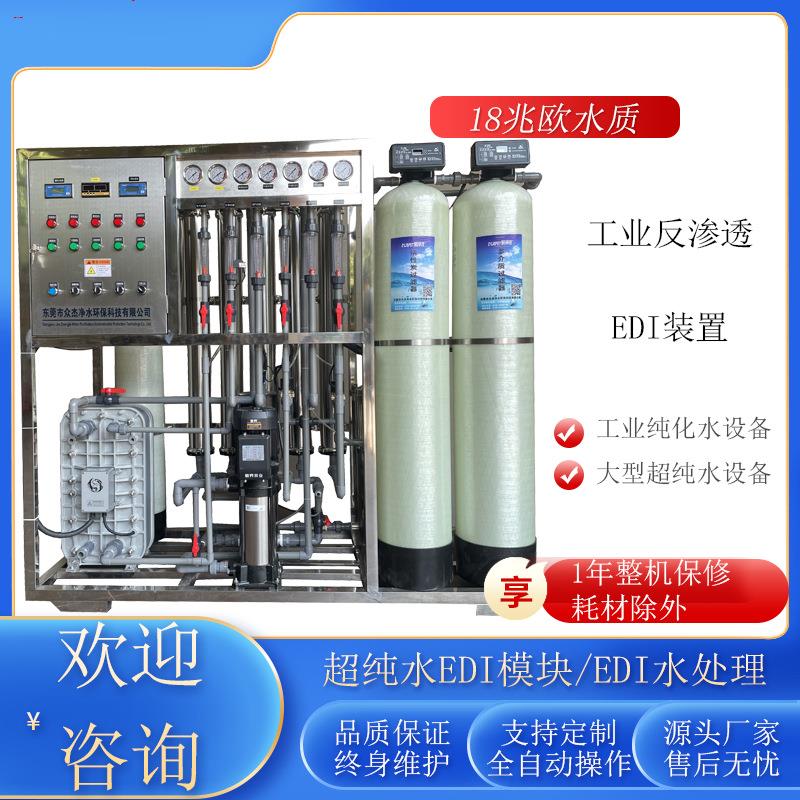 全自动反渗透水处理设备双级纯化水edi超纯水机大型工业纯净水器1