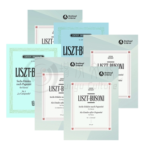 李斯特六首帕格尼尼大练习曲 小行板随想曲K70 颤音K75 钟 琶音 狩猎 钢琴主题与变奏曲 K67大熊乐谱书 6 Etudes after Paganini