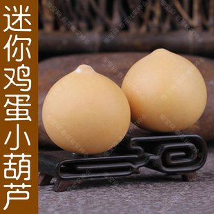 迷你鸡蛋小葫芦种子 阳台盆栽庭院 春夏秋四季 播爬藤观赏烙画把玩