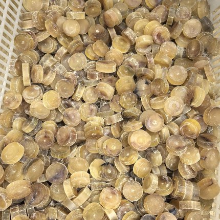 羚羊角碎料0羊角碎料可手工刨丝磨粉解热小儿退烧图片