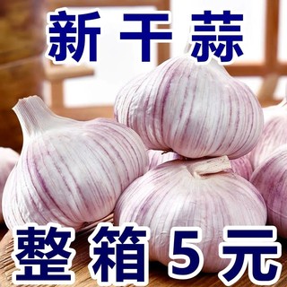 紫白皮蒜干大蒜新鲜9斤新晒蒜头籽自种蔬菜现非独头红皮大蒜包邮5