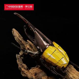 中国国家地理梦巴格玩具3D立体纸模型拼插组装 动物昆虫长戟犀金龟