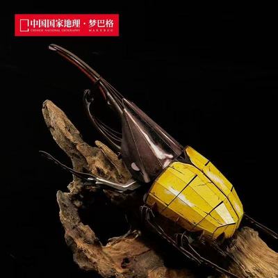 中国国家地理梦巴格玩具3D立体纸