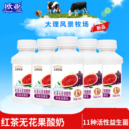 欧亚大理牧场酸奶红茶无花果250g*12瓶装 换新升级