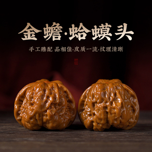 开背蛤蟆头文玩核桃手把玩金蟾收藏级延庆老树精品干刷包浆网红款