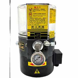 K20 3ZKI电动黄油泵LRB1 2ZII油脂泵 K30 浙江流遍油脂润滑泵LRB2