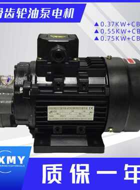 CB-B6/B10/B4/B2.5齿轮泵液压油泵电机组370W/550W润滑油泵头总成