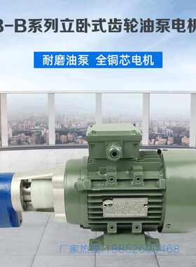 WBZ-10/6/16/25/40/50/63/100/125/160卧式齿轮油泵电机组CB-B JZ