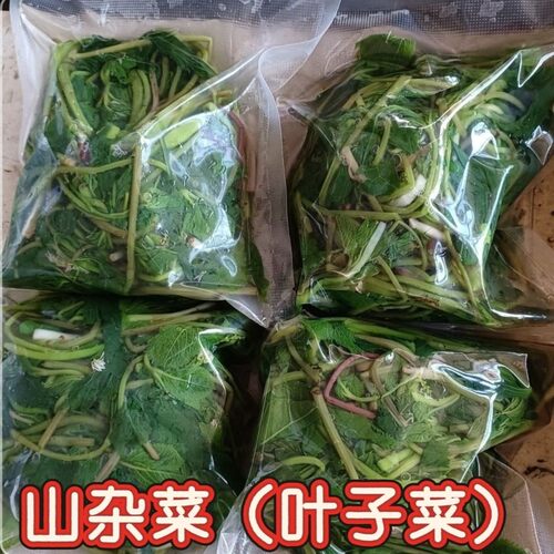 辽宁丹东野生叶子菜焯水冷冻新鲜山杂菜现采现发山野菜焯水冷冻