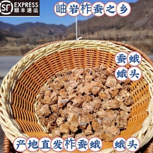 东北特产蚕蛾头公蛾头满籽蛾头绍蛾蛾头各种蚕蛾头冷冻过油吃顺丰