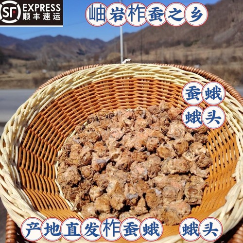 东北特产蚕蛾头公蛾头满籽蛾头绍蛾蛾头各种蚕蛾头冷冻过油吃顺丰