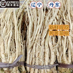 新鲜荠菜根现挖野生荠菜整根清洗干净荠荠菜根荠菜顺丰包邮