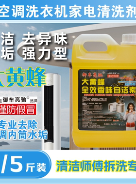 正品大黄蜂自洁素洗空调家电清洗浓缩型自洁素免擦清洁污渍拆洗师