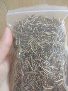 天然茶叶梗耳棒茶叶梗耳棒养耳洞耳钉茶梗杆竹棒耳棍茶叶棍耳针