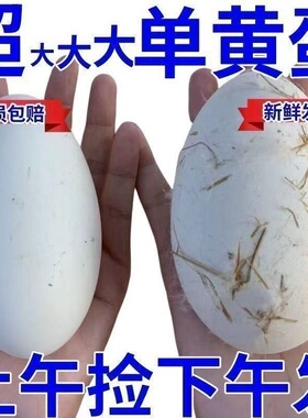 12枚230-260克保真正宗狮头大鹅蛋新鲜农家散养土鹅蛋孕妇顺丰