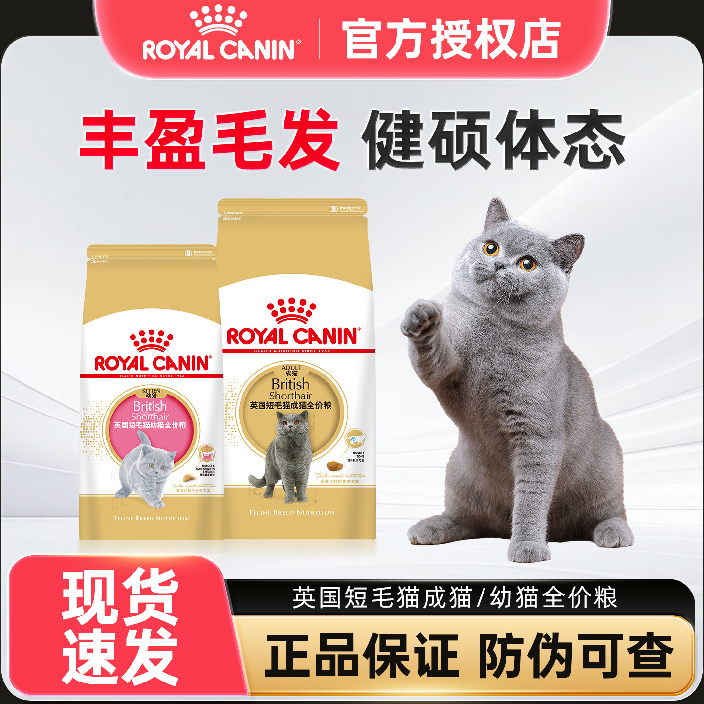 皇家猫粮英短成幼猫专用