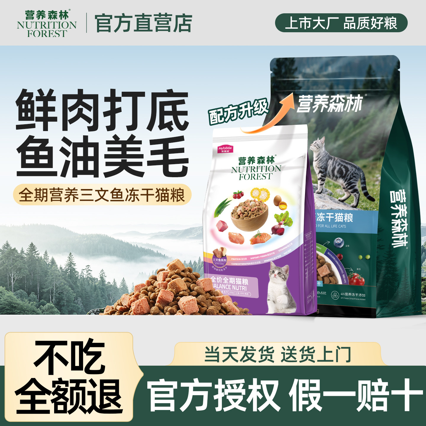 营养森林猫粮10斤实惠装鲜鸡肉三文鱼鱼油全价粮布偶专用美毛猫粮