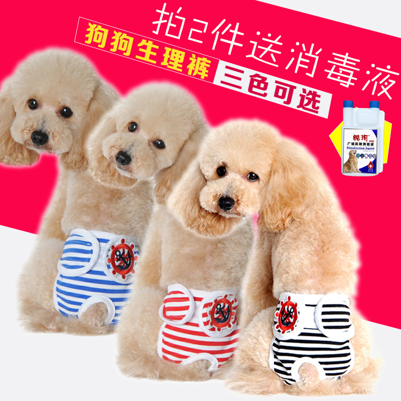 母狗狗生理裤女泰迪月经期安全卫生巾姨妈专用宠物避孕防交配内裤