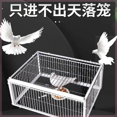 神器鸽子笼天落祇进不出户外捕全自动撞门加密收鸟笼用新款网