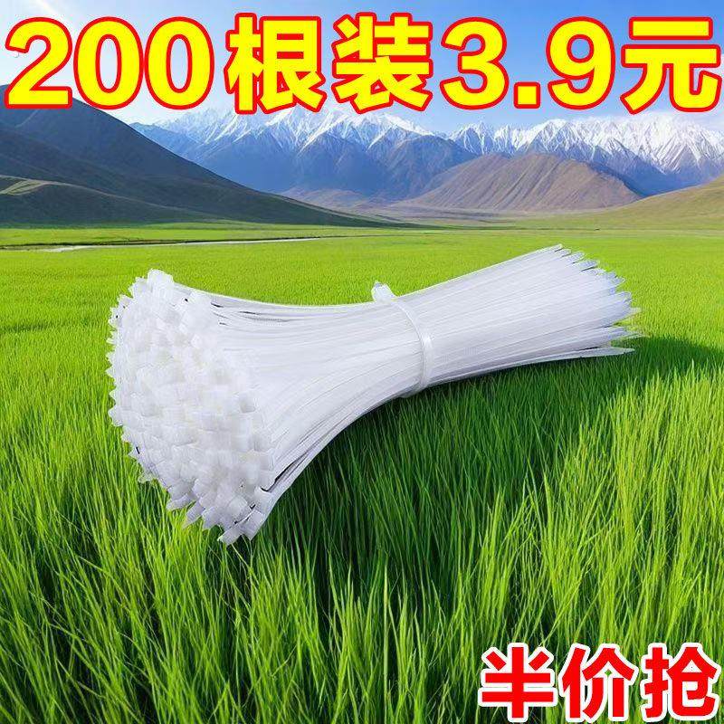 自锁式尼龙扎带卡扣束线带绳电线捆绑带固定器塑料扎线带强力