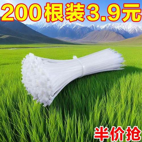 自锁式尼龙扎带卡扣束线带绳电线捆绑带固定器塑料扎线带强力