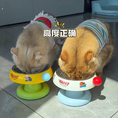 猫碗猫咪饭碗喝水碗粮碗保护颈椎猫食盆不锈钢狗碗不易打翻宠物碗