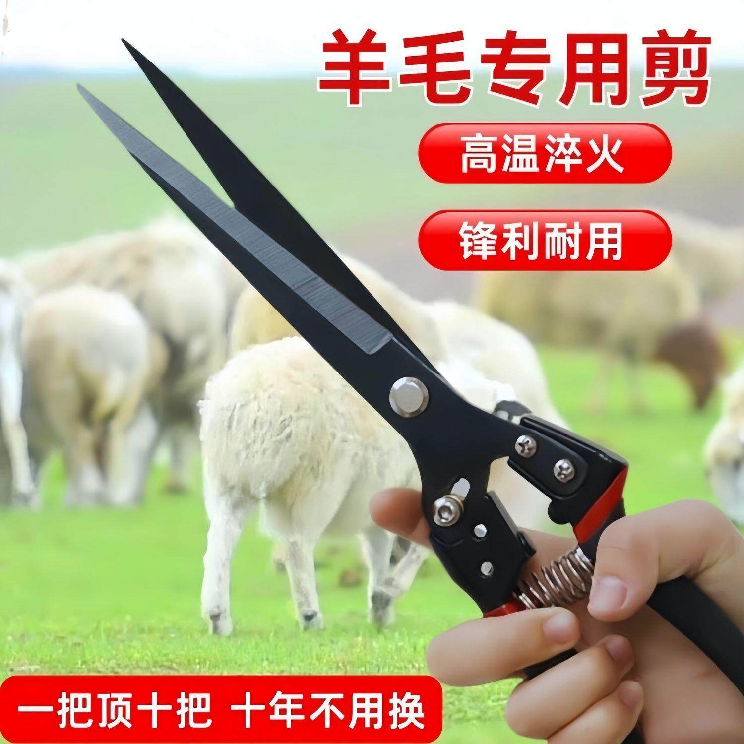 高级农用羊毛剪子手动绞绵羊毛专用弹簧羊毛剪