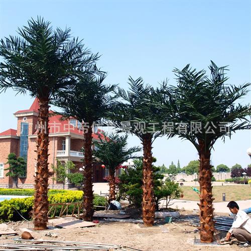 仿真棕椰树假椰子树人造工程绿化棕榈树景观仿真大树