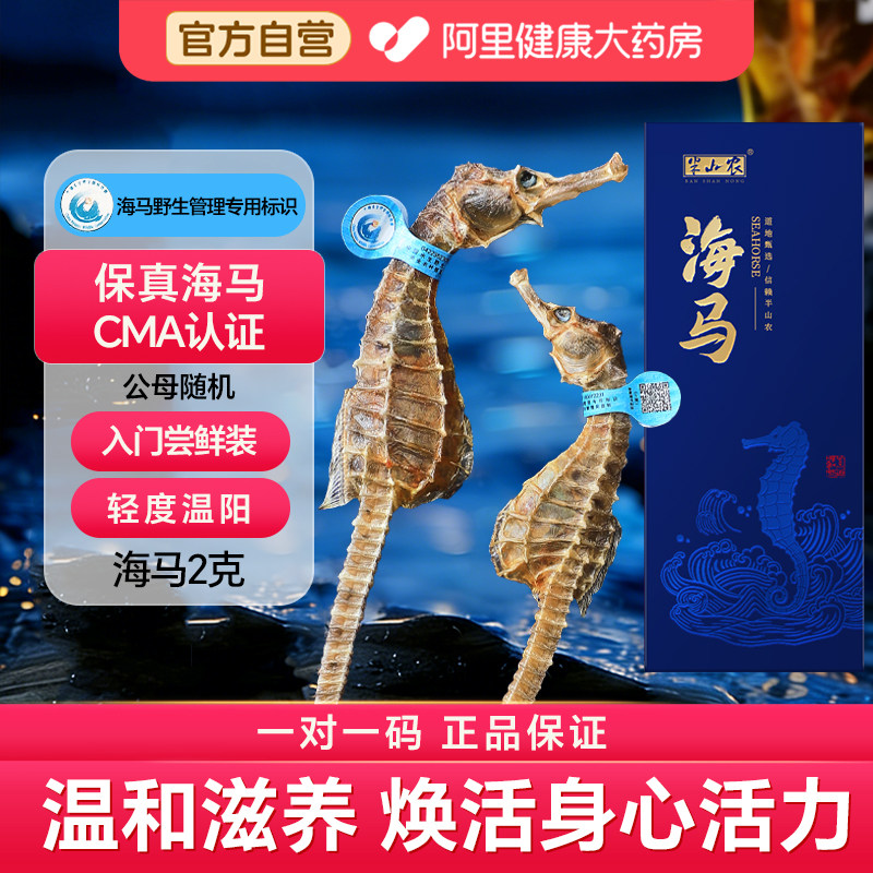 半山农海马公母一对海龙干货儿童田七煲高汤正品泡酒公一母