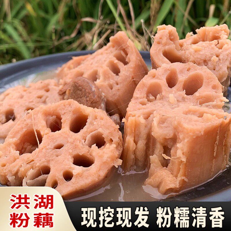 湖北洪湖野生煲汤粉藕洪湖粉藕粉糯清香九孔藕高质量