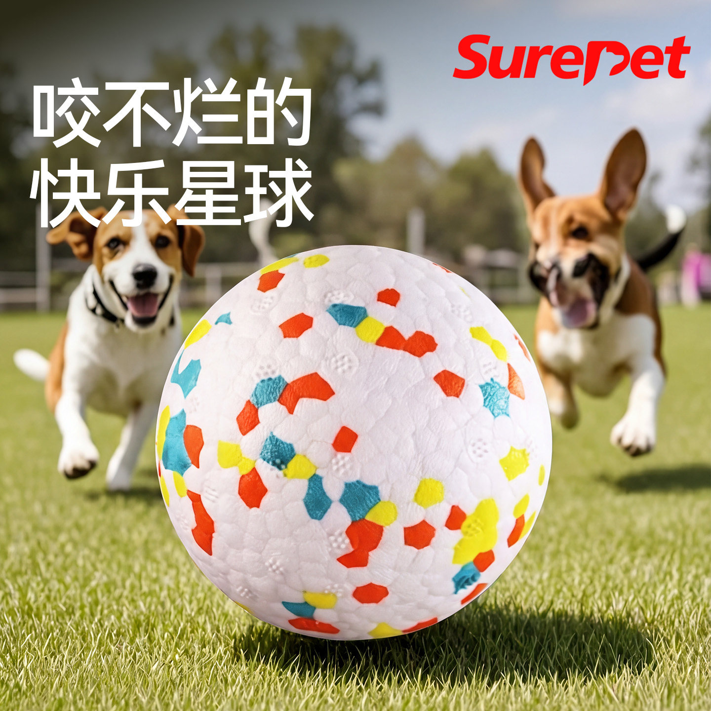 逗狗狗玩具耐咬球磨牙小型犬幼犬图片
