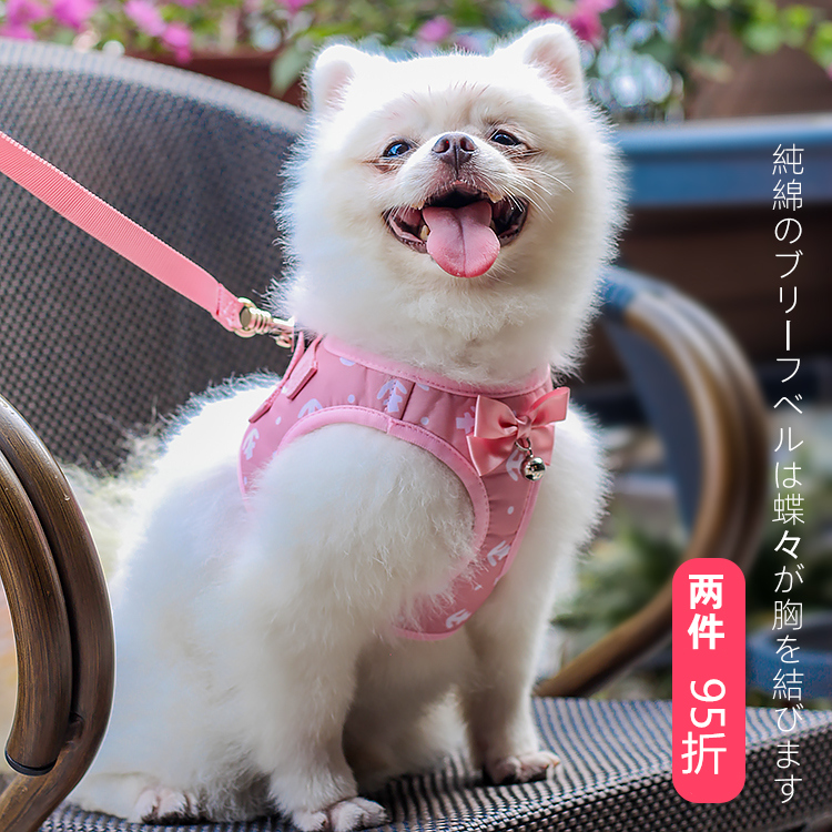 狗狗牵引绳背心式小型熊博美