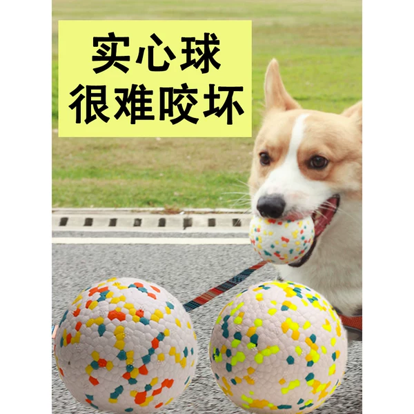 Товары от 舒拜宠物用品旗舰店