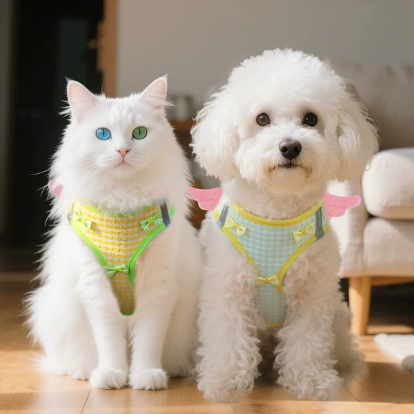 Товары от 舒拜宠物用品旗舰店