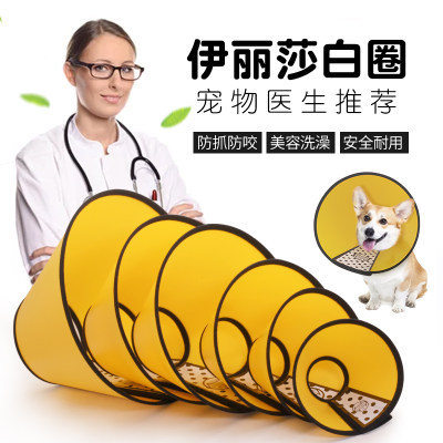 宠物伊丽莎白圈狗狗术后猫咪绝育