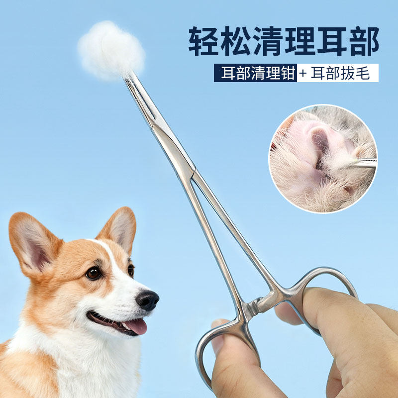 宠物拔耳毛钳拔耳毛美容猫咪狗狗耳毛夹泰迪比熊耳朵耳道清洁钳