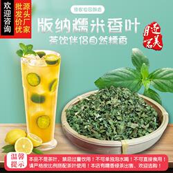 糯米香茶大口茶专用云南西双版纳普洱茶叶伴侣糯米香叶晒干纯叶子