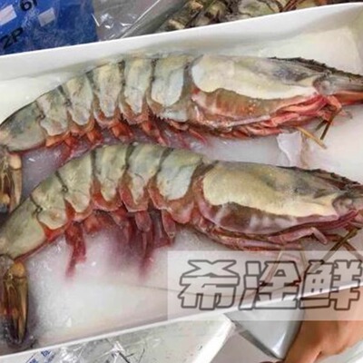 2头大虎虾400g/盒2条烧烤铁板