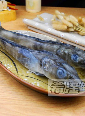 超大南极冰鱼露营烧烤西餐铁板