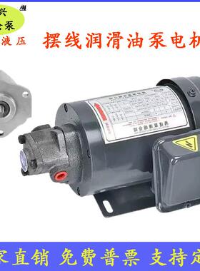 TOP-12A/13A摆线油泵电机ROP-11A齿轮油泵380V机床车床润滑220V