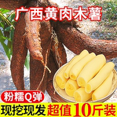 广西正宗黄心面包木薯新鲜现挖甜品黄肉华南9号食用甜品粉糯香甜