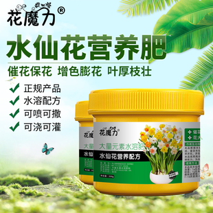 水仙石蒜专用营养肥盆栽落神香妃金盏银台凌波仙子雪中花增色水培