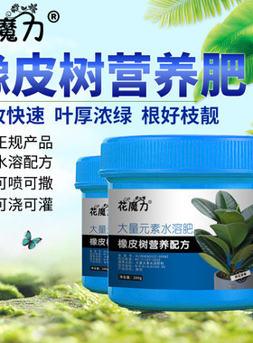 橡皮树专用营养肥盆栽庭院印度榕大叶青红缅树红嘴橡皮盆景绿叶肥