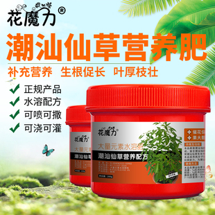 潮汕仙草肥料菝草小槐花三叶青三叶扁藤金丝吊葫芦石猴子小扁藤肥