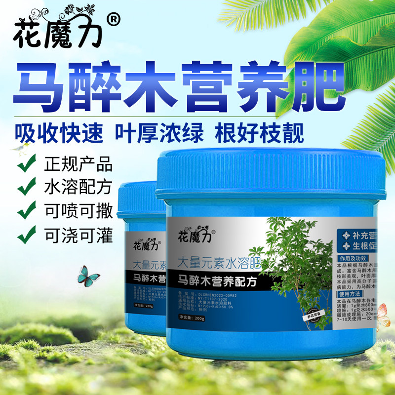 马醉木肥料梫木兴山马醉木红蜡烛闹狗花泡泡花盆景四季专用营养肥