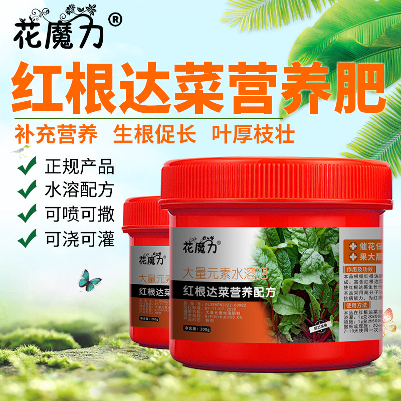 红根达菜肥料厚皮菜甜菜君达菜莙荙菜根瘩菜牛皮菜通用菜园营养肥