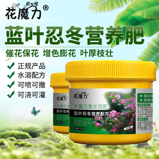 蓝叶忍冬肥料玫瑰忍冬金银藤二色花藤红白忍冬地栽园林养护营养肥